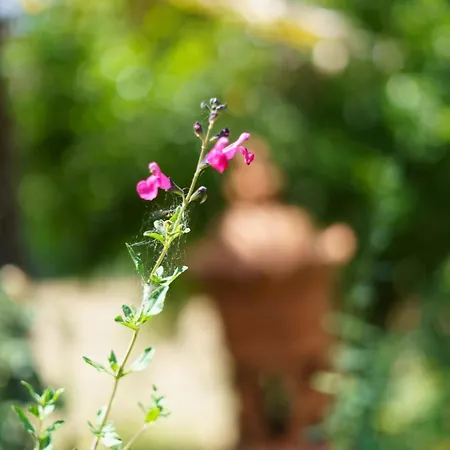 Maison De Maitre Et Son Parc Вилла