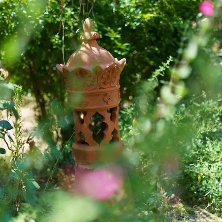 Maison De Maitre Et Son Parc *