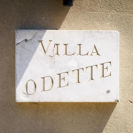 Maison De Maitre Et Son Parc * تولوز