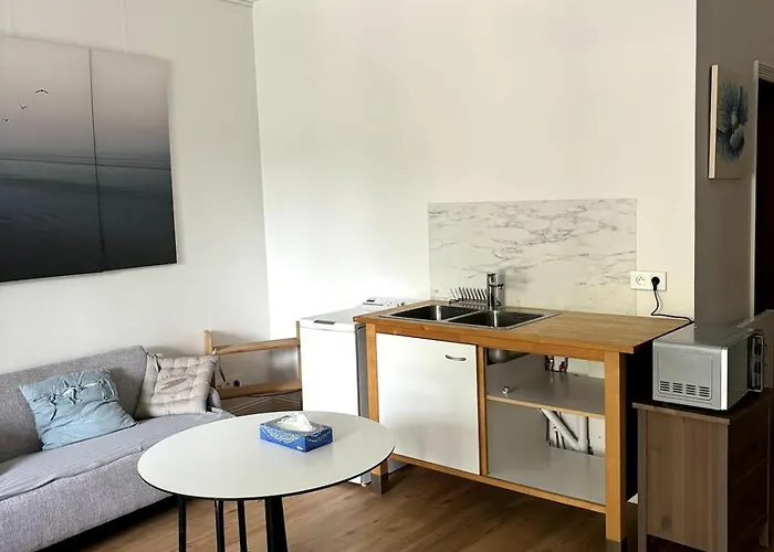 Maison De Maitre Et Son Parc Villa