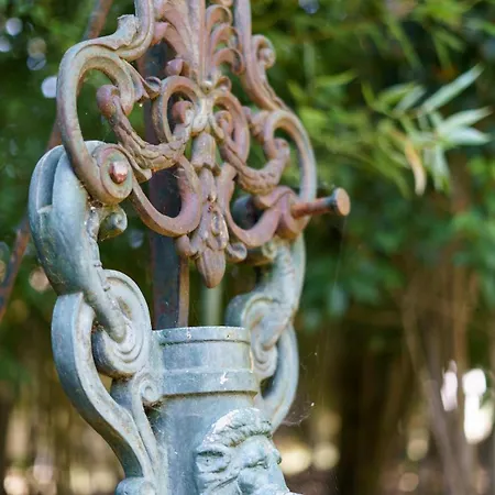 Maison De Maitre Et Son Parc וילה טולוז