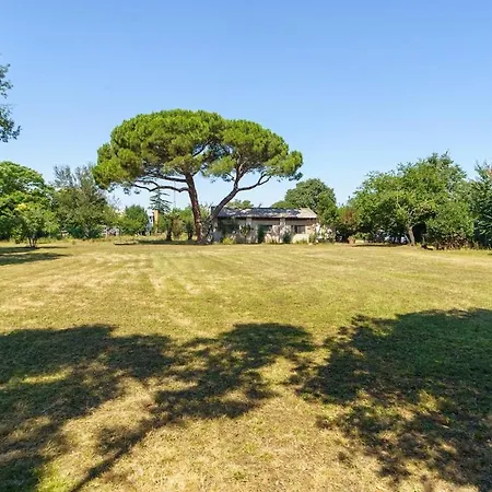 Maison De Maitre Et Son Parc * טולוז