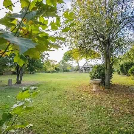 Maison De Maitre Et Son Parc טולוז
