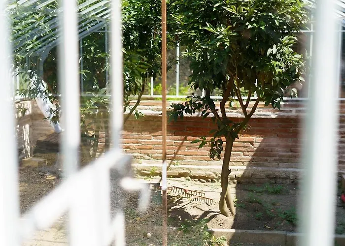 Maison De Maitre Et Son Parc 别墅 圖盧茲