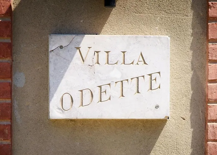 Maison De Maitre Et Son Parc * 圖盧茲